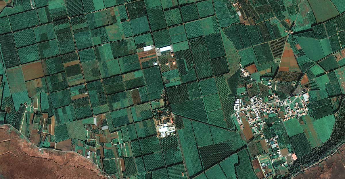 EarthDaily Agriculture