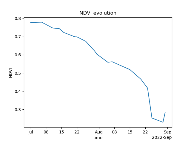 NDVI evolution